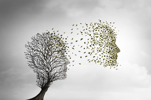 A Case Study in Reincarnation - September Newsletter
