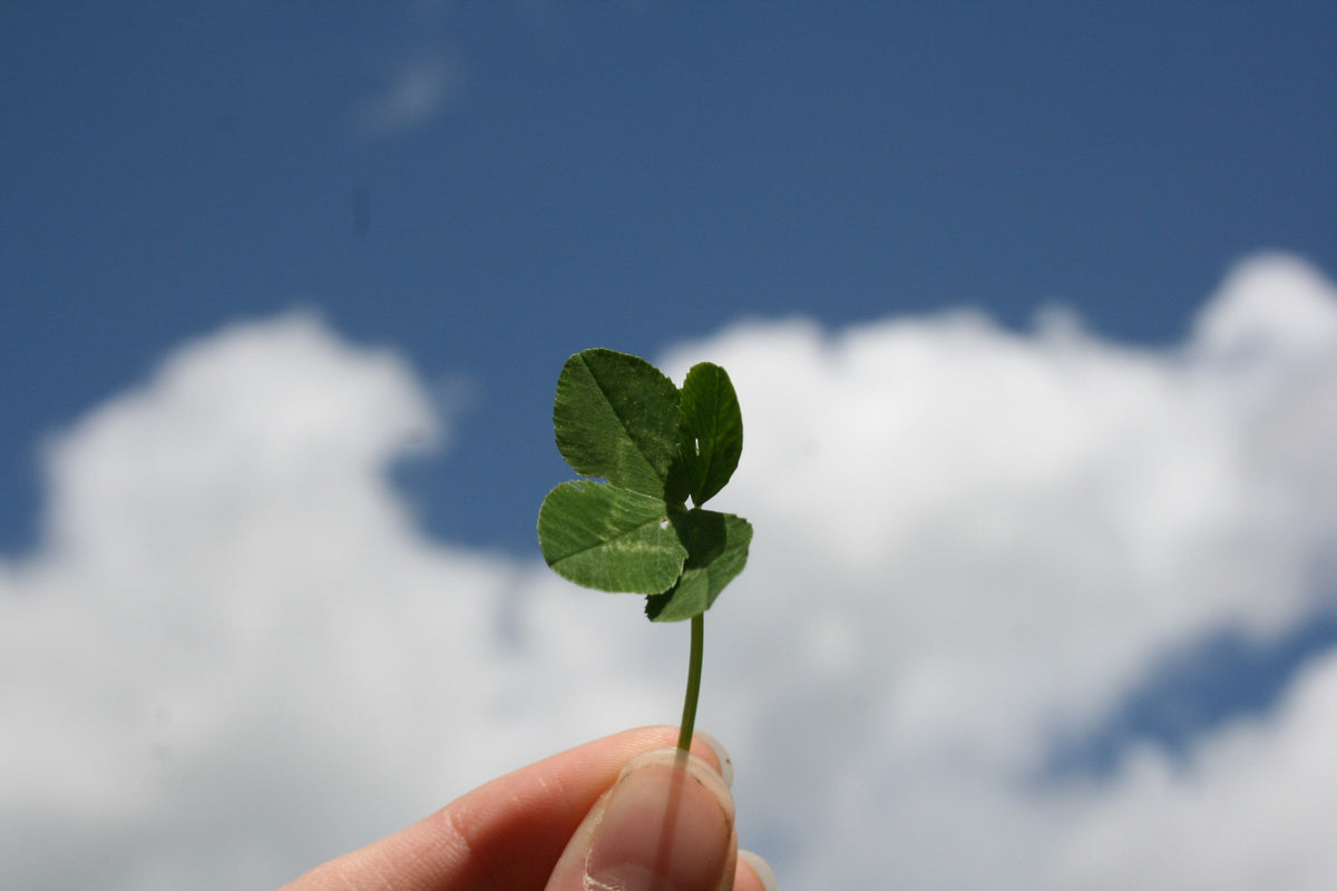The Part of Fortune