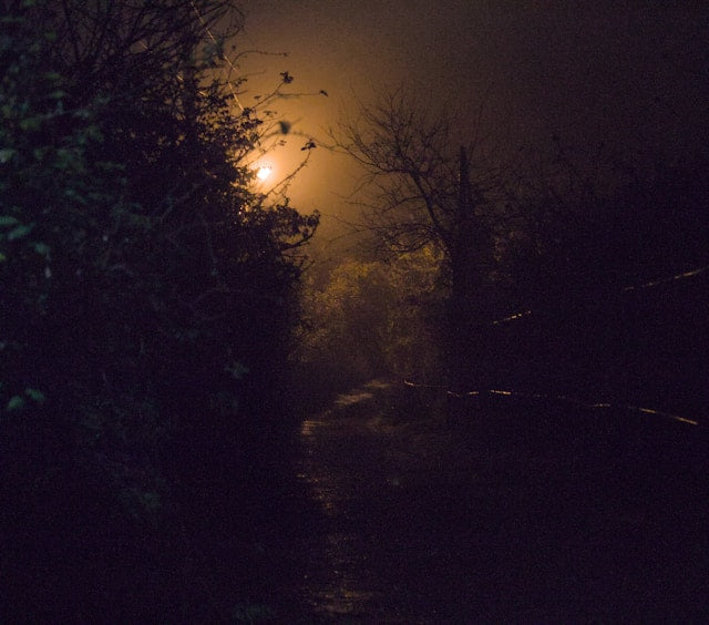 Happy Halloween – Or Is It?