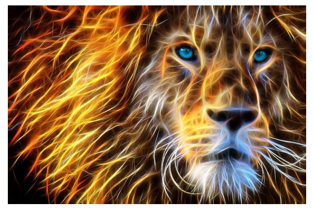 July 2016 Newsletter - A Leonine July
