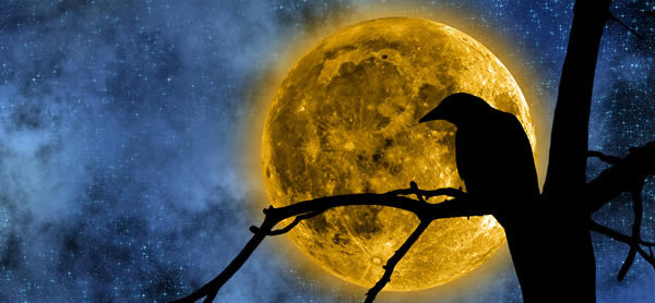 The Natal Moon: Twelve Principles