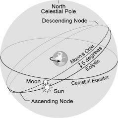 Mean Nodes Vs. True Nodes