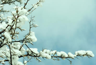 February 2012 Newsletter - Neptune’s Murky Imprint